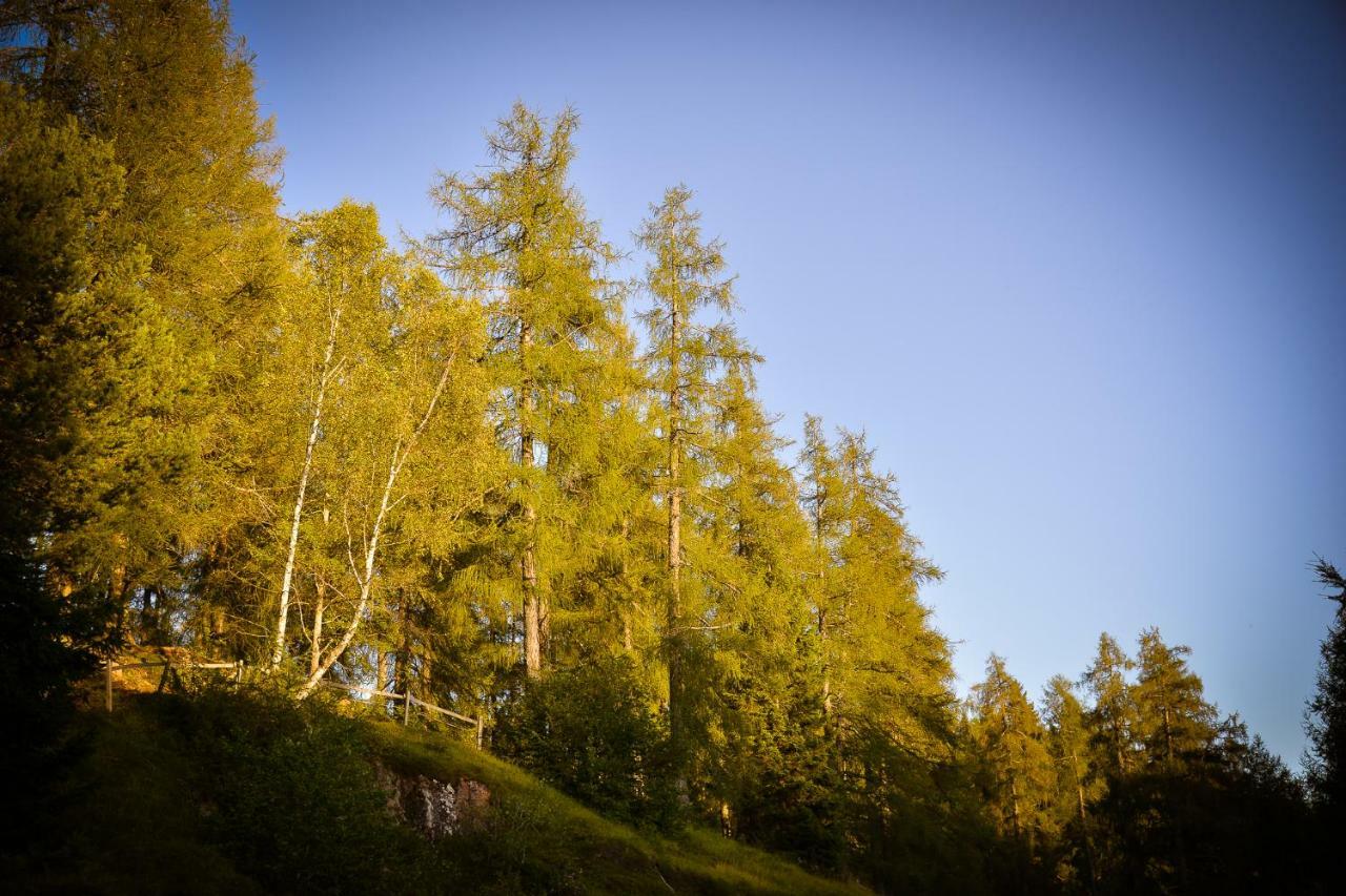 Vila Ferienhaus Winkler Anterivo Exteriér fotografie