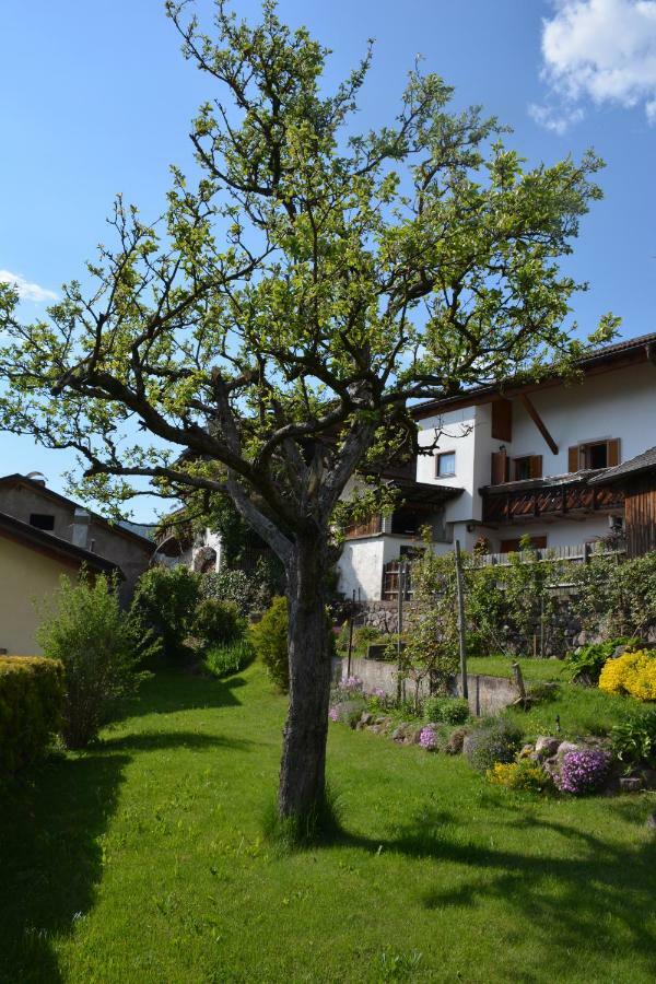 Vila Ferienhaus Winkler Anterivo Exteriér fotografie